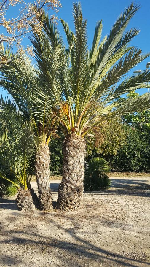 Sol Y Playa En San Juan Аликанте Экстерьер фото